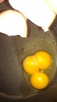 IMG_20160522_220248699.jpg