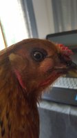 20170824_105358.jpg