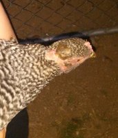 IMG_20170828_191942.jpg
