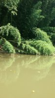 20170826_122226.jpg
