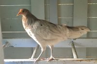 IMG_6361.JPG