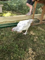 IMG_0819.JPG