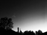 IMG_4117.JPG