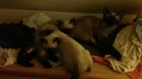 20170904_073144.jpg
