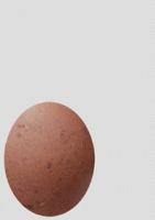 welcome-tweety-200-farmer-c.gif