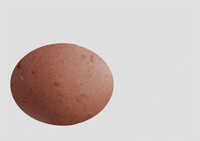 welcome egg 200 farmer connie.gif