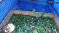 20170905_192758.jpg