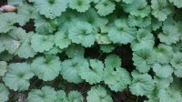20170905_154510.jpg