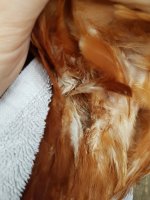 20170906_081810.jpg