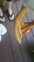 20170904_094841.jpg