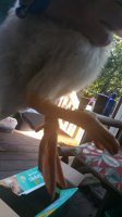 20170904_094837.jpg
