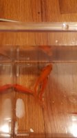 2017-01-31 00.07.33.jpg 2017-01-31 00.07.33.jpg
