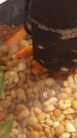 20170909_180947.jpg 20170909_180947.jpg