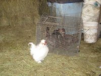 IMG_2379.JPG