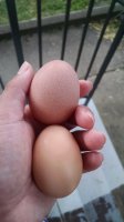 IMG_20170911_171939783.jpg