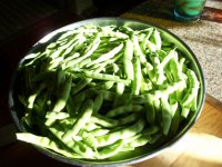 Green beans 3.JPG