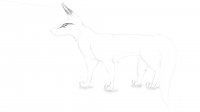 Sketch (6).png