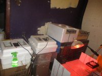 IMG_1891.JPG