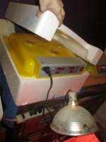 IMG_1892.JPG