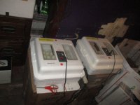 IMG_2051.JPG