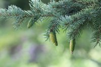 IMG_6677.JPG