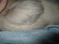 IMG_2420.JPG
