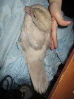 IMG_2421.JPG