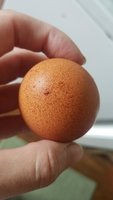 Resized_20170913_134524.jpeg