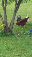 20170913_125650.jpg