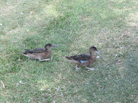 IMG_8022.JPG