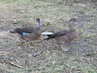 IMG_7998.JPG