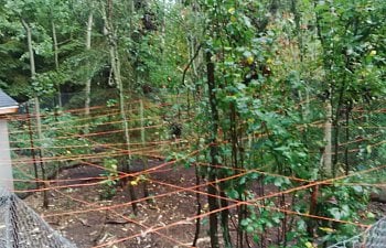 IMG_20170913_183315.jpg