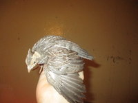 IMG_2428.JPG