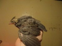 IMG_2430.JPG