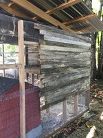 IMG_7420.JPG