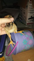 20170914_185641.jpg