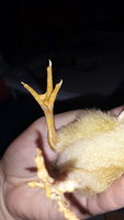 20170914_185653.jpg