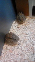 IMG_20170601_203204.jpg