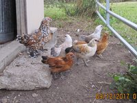 IMG_0719.JPG