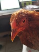 20170914_114517.jpg