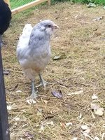 20170905_143402.jpg