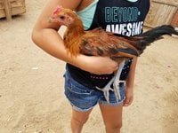 20170914_152247.jpg