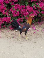 20170915_072150.jpg