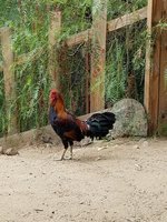 20170914_141751(0).jpg