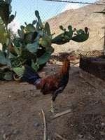 20170914_094509.jpg