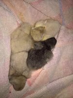 WP_20170915_22_34_01_Pro_LI.jpg