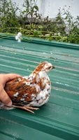 20170914_165843.jpg