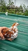 20170914_165843.jpg