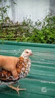 20170914_170321.jpg