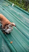 20170914_170936.jpg